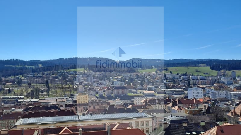 For rent, 7 rooms, Combe-Grieurin 37b, La Chaux-de-Fonds (11)
