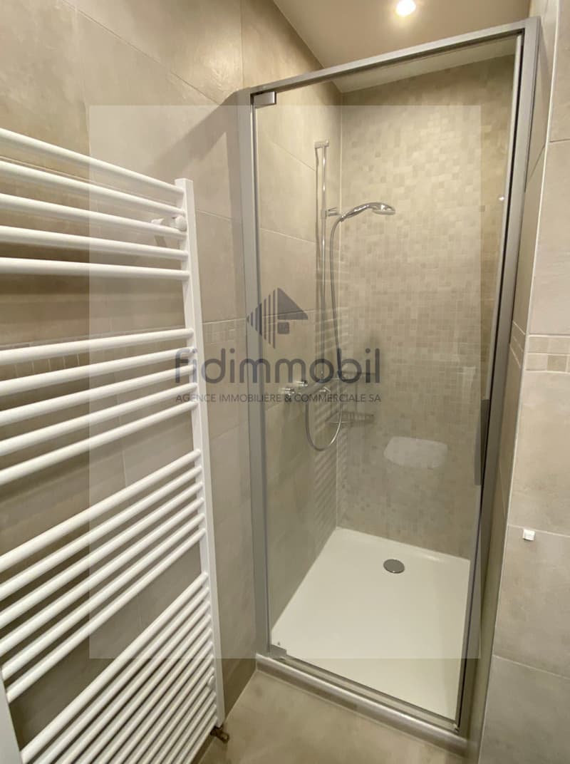 Appartamento completamente ristrutturato con vista mozzafiato sul lago (9)