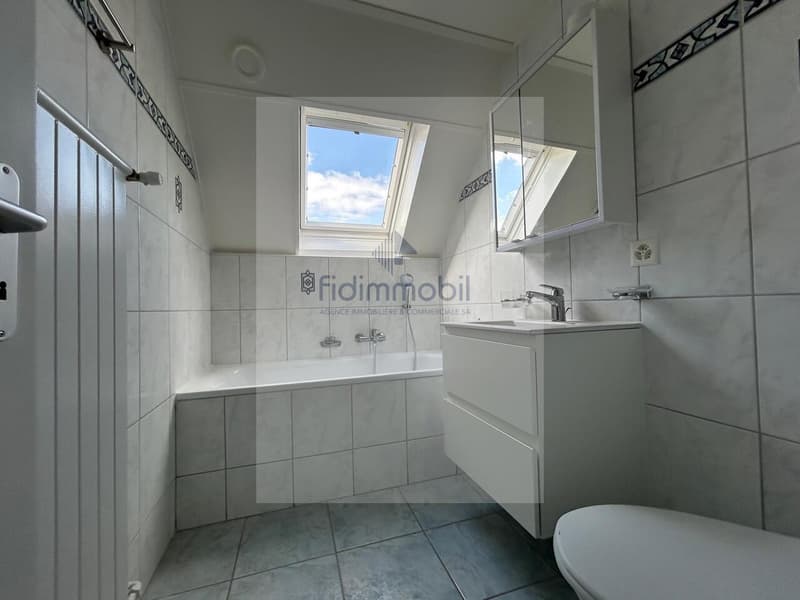 APPARTEMENT RENOVE DANS QUARTIER CALME (8)