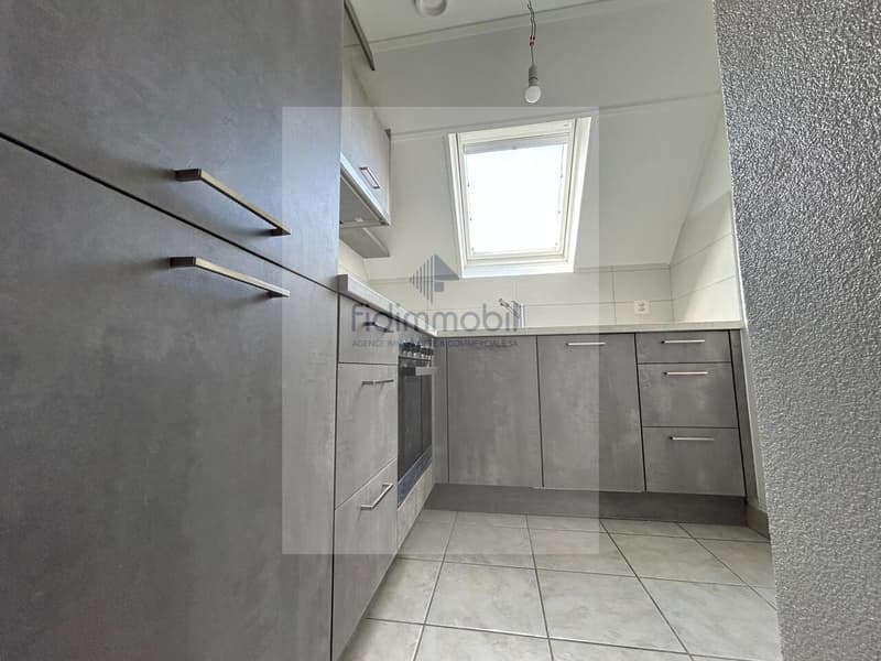 APPARTEMENT RENOVE DANS QUARTIER CALME (3)