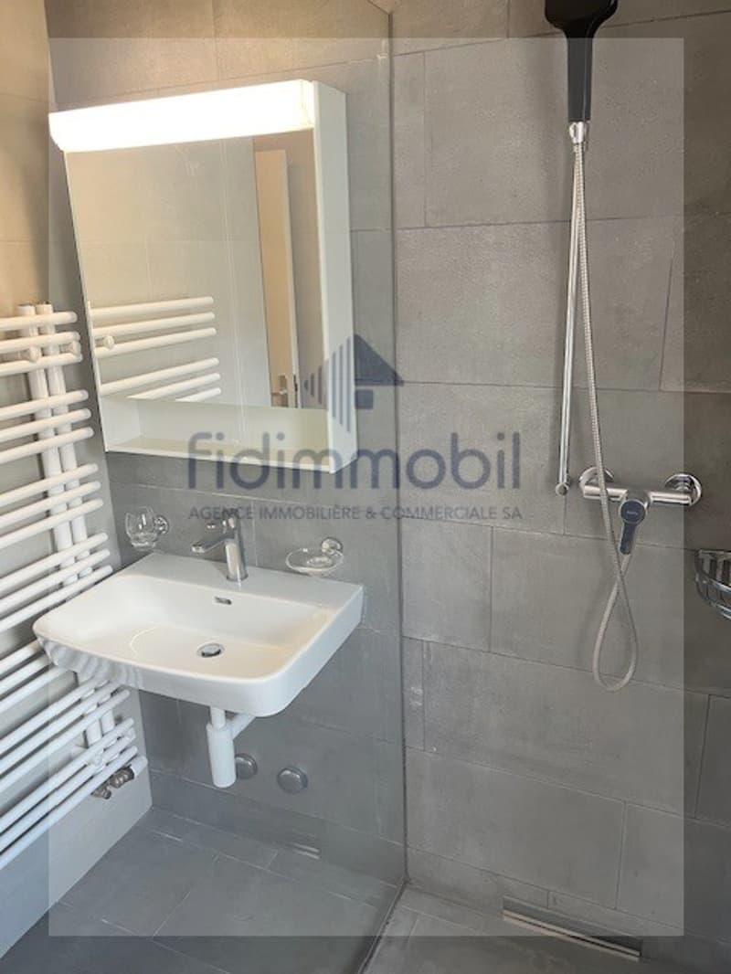 3.5 room apartment on the 1st floor (7)