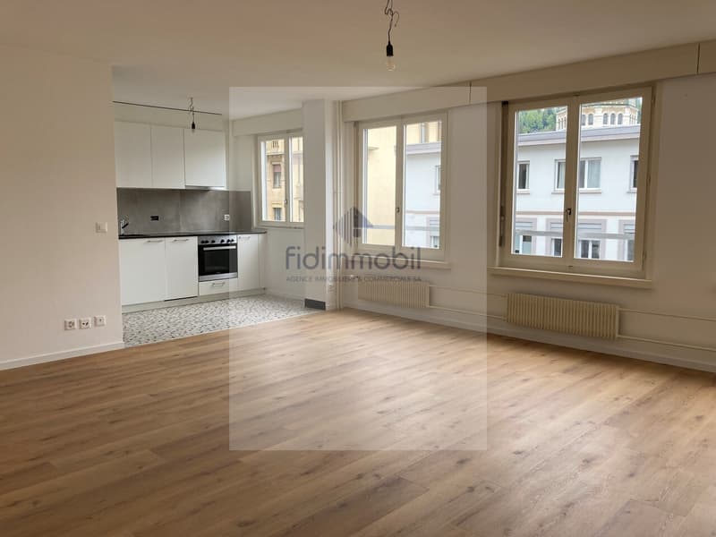 Studio rénové,  lumineux situé en plein centre-ville (2)