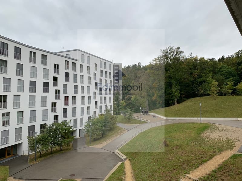 PRÄCHTIGES APPARTEMENT NAHE BEI ALLEN VERKAUFSTELLEN (10)