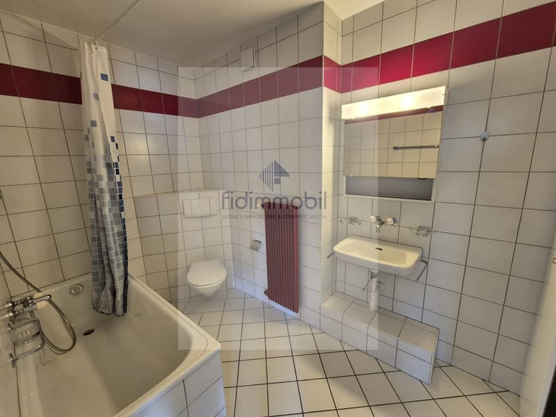 Splendid 2-room apartment for rent in La Chaux-de-Fonds (2)