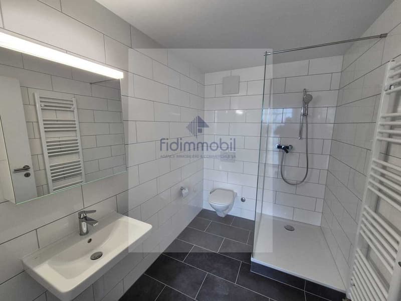 Splendid 2.5-room new apartment for rent in La Chaux-de-Fonds (8)