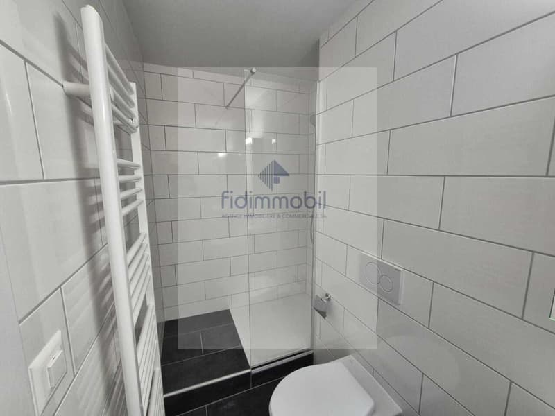 Beautiful new studio for rent in La Chaux-de-Fonds (2)