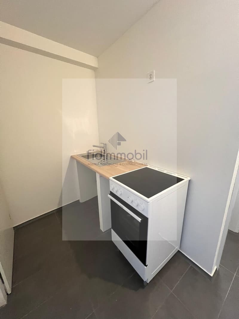 Splendid newly renovated studio in Peseux (3)