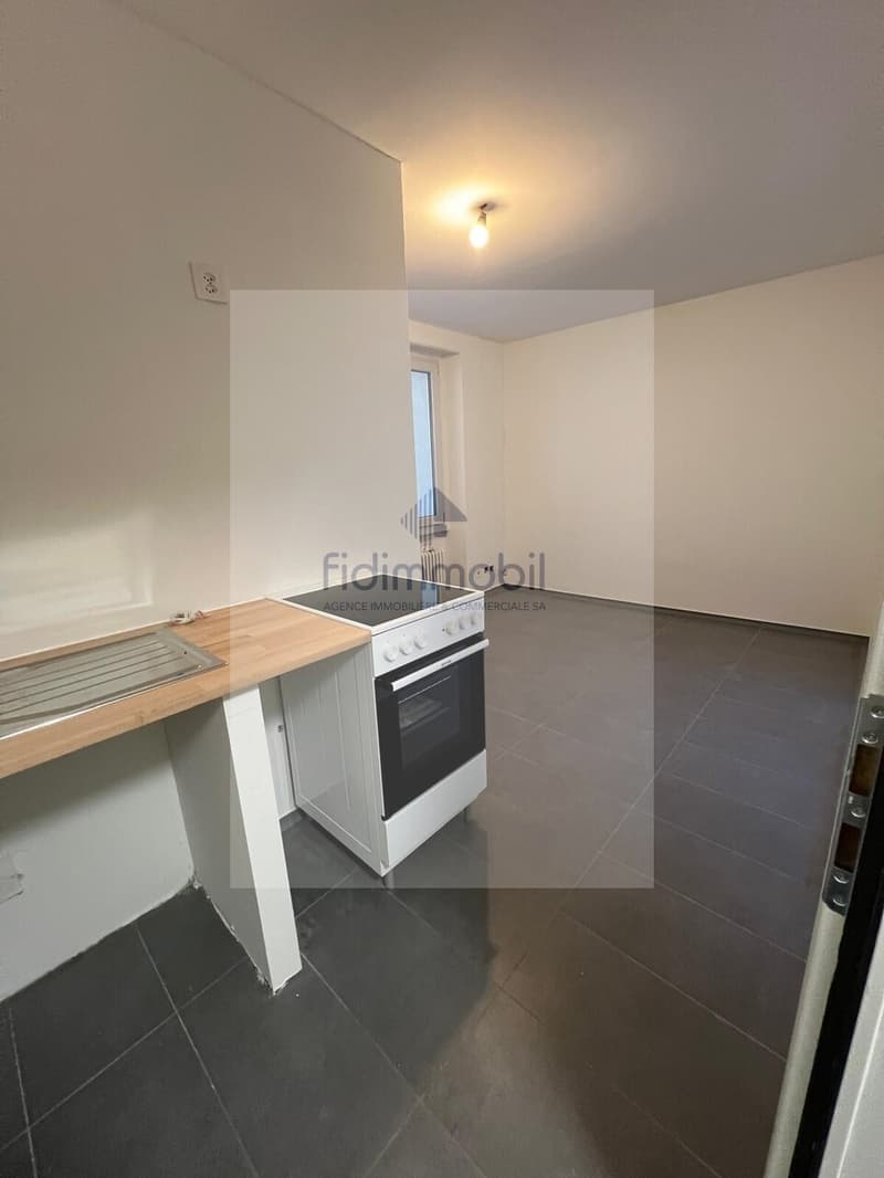 Splendid newly renovated studio in Peseux (2)