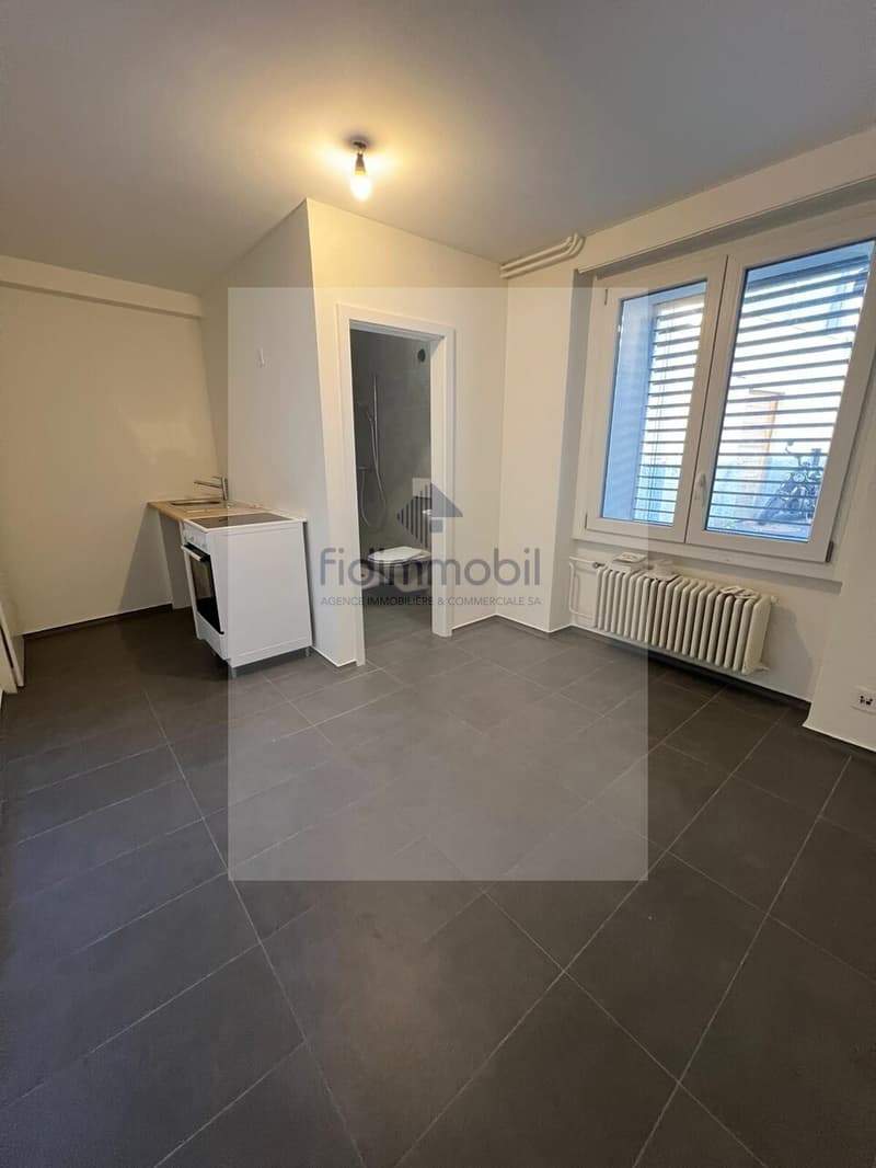 Splendid newly renovated studio in Peseux (4)