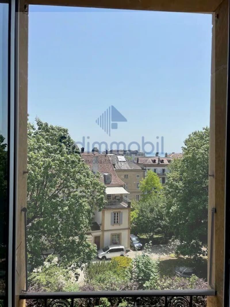 Meraviglioso appartamento in città a Neuchâtel (4)