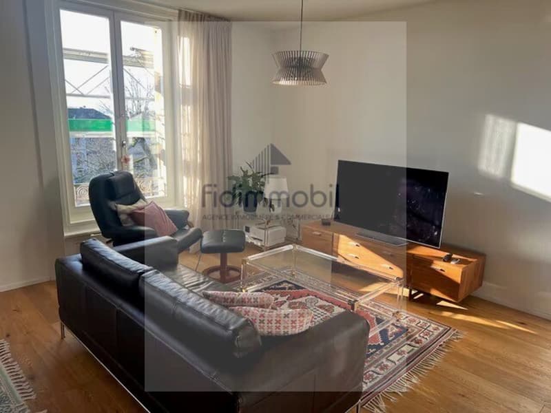 Meraviglioso appartamento in città a Neuchâtel (5)