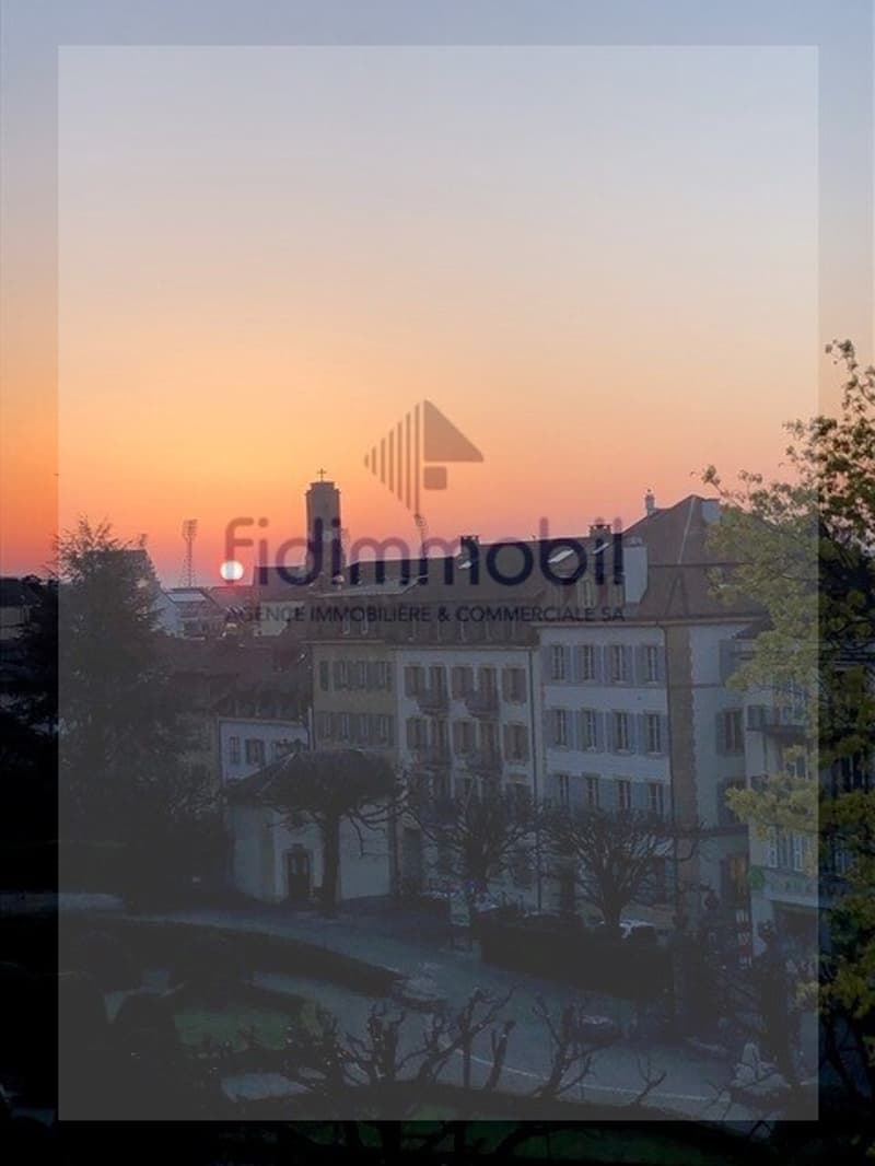 Meraviglioso appartamento in città a Neuchâtel (9)