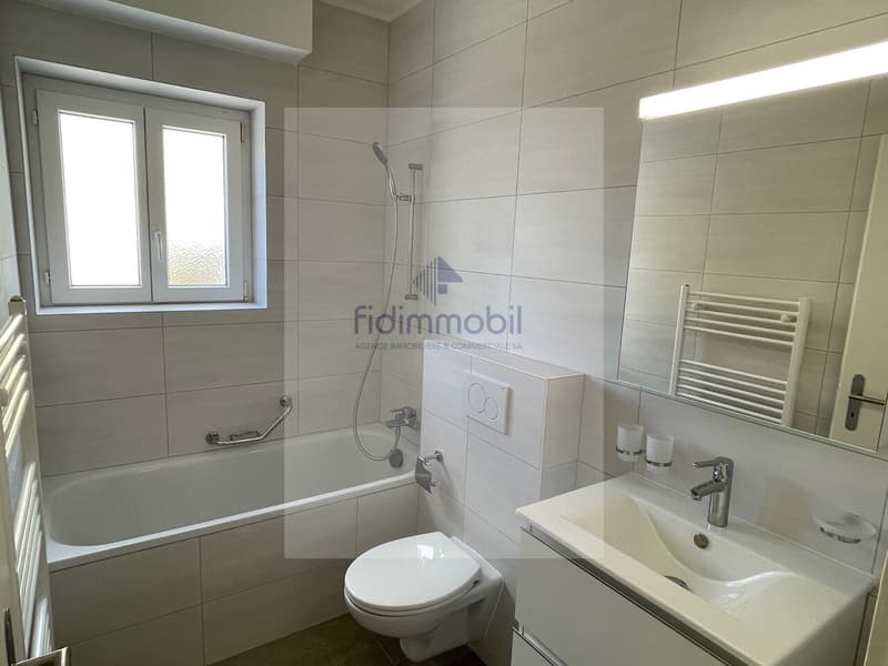 Appartement 3 pièces entièrement rénové (6)