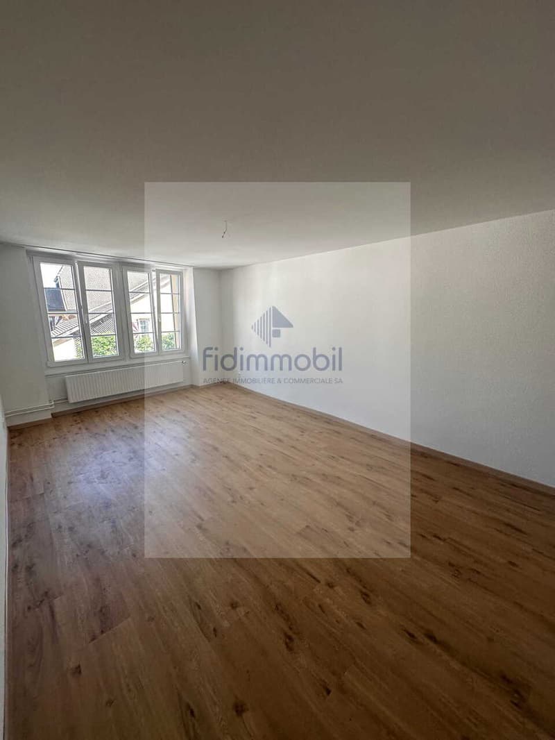 Appartamento completamente rinnovato in quartiere tranquillo (6)