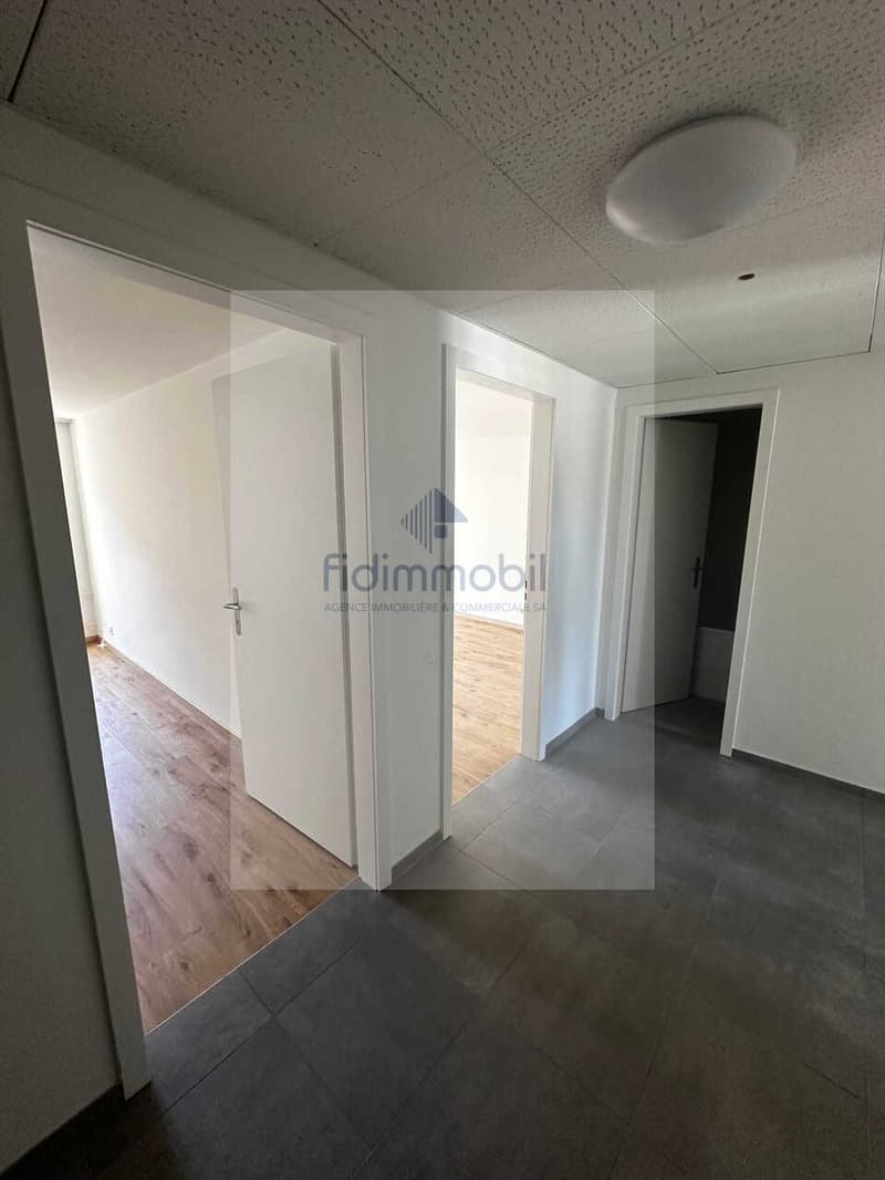 Appartamento completamente rinnovato in quartiere tranquillo (2)