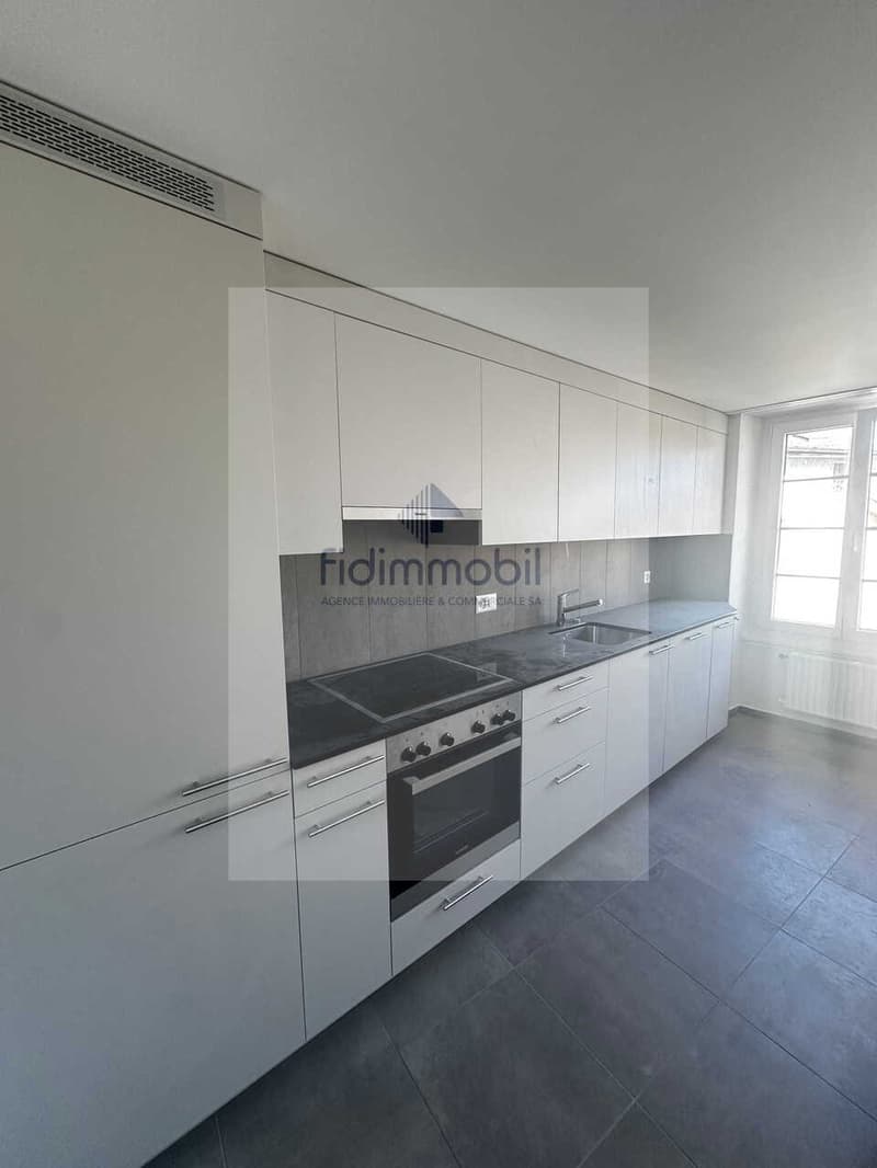 Appartamento completamente rinnovato in quartiere tranquillo (1)