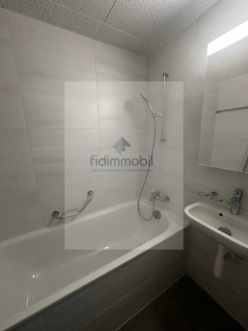 Appartamento completamente rinnovato in quartiere tranquillo (8)