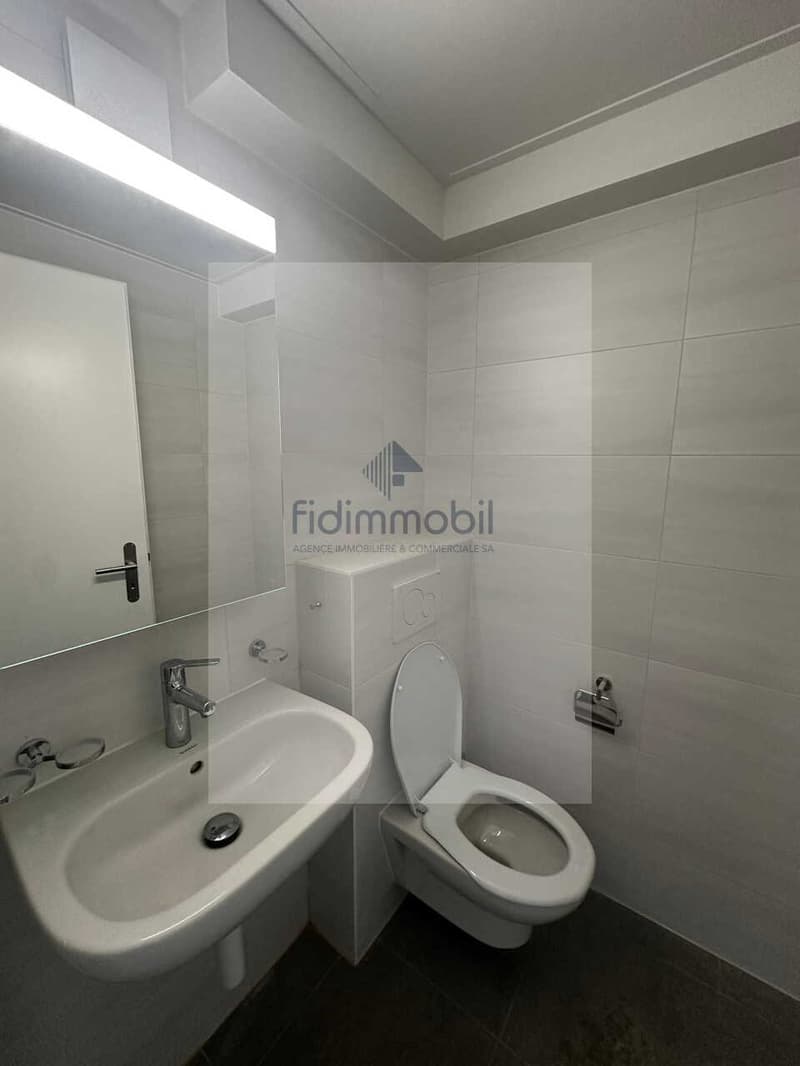 Appartamento completamente rinnovato in quartiere tranquillo (9)