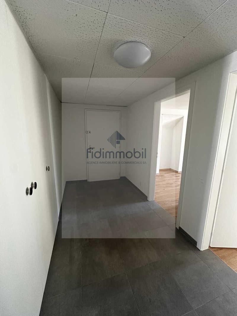 Appartamento completamente rinnovato in quartiere tranquillo (4)