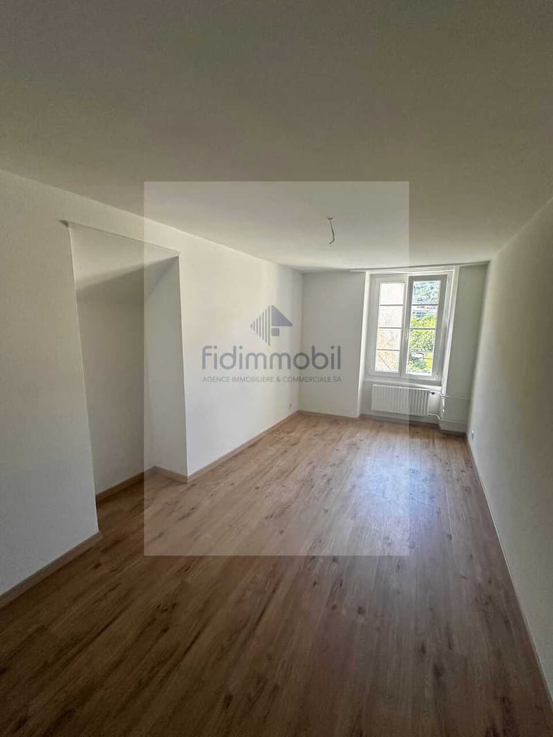 Appartamento completamente rinnovato in quartiere tranquillo (5)