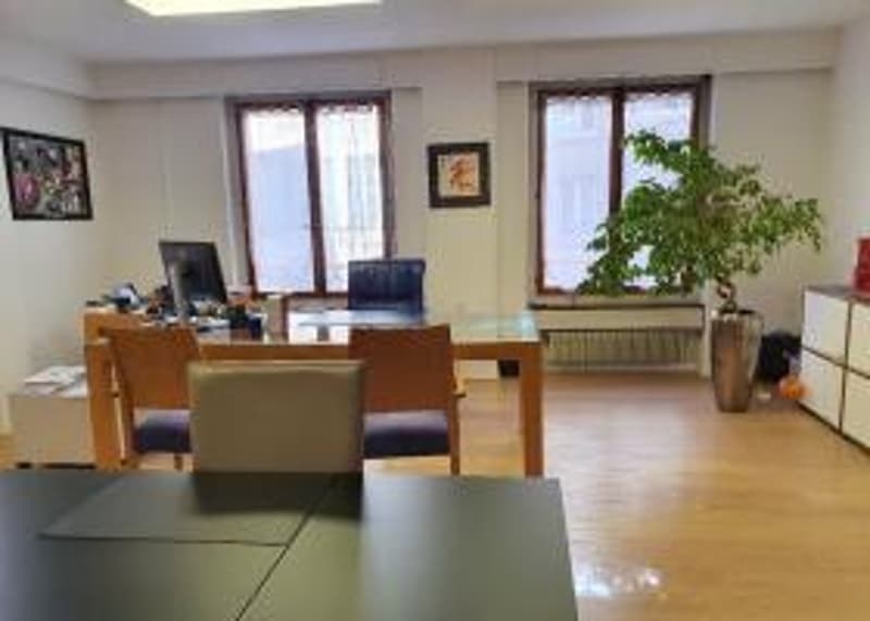 Prächtige Gewerbeflächen im Stadtzentrum (5)