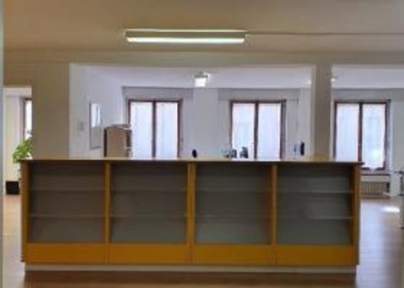 Prächtige Gewerbeflächen im Stadtzentrum (6)