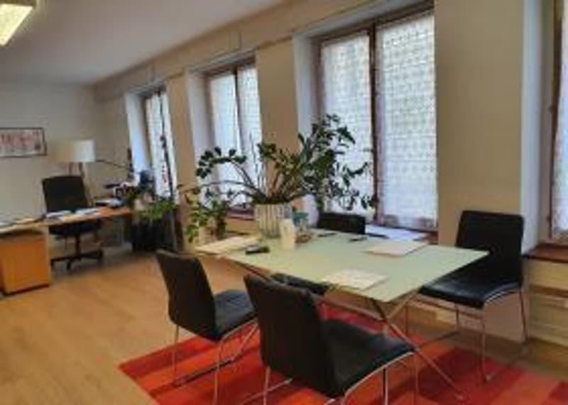Prächtige Gewerbeflächen im Stadtzentrum (9)