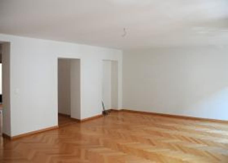 Magnificent apartment with beautiful terrace in the city center (3)