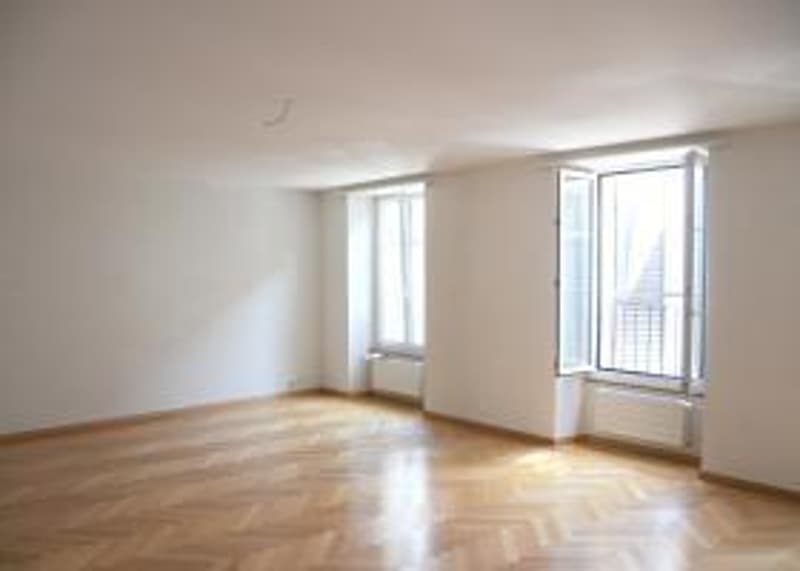 Magnificent apartment with beautiful terrace in the city center (4)