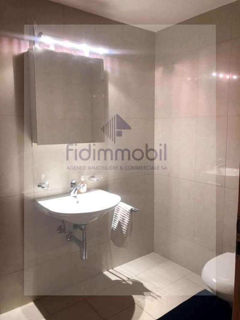 Magnificent apartment with beautiful terrace in the city center (8)