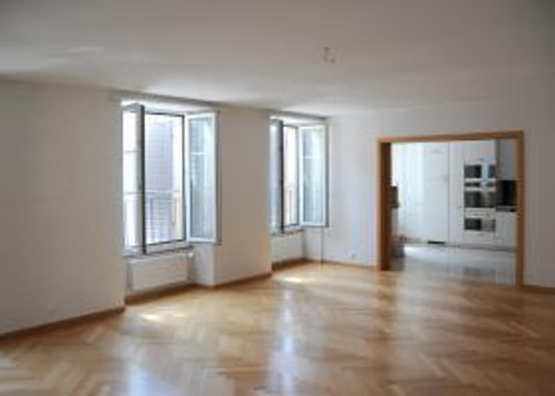 Magnificent apartment with beautiful terrace in the city center (1)