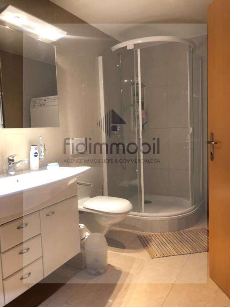 Magnificent apartment with beautiful terrace in the city center (6)