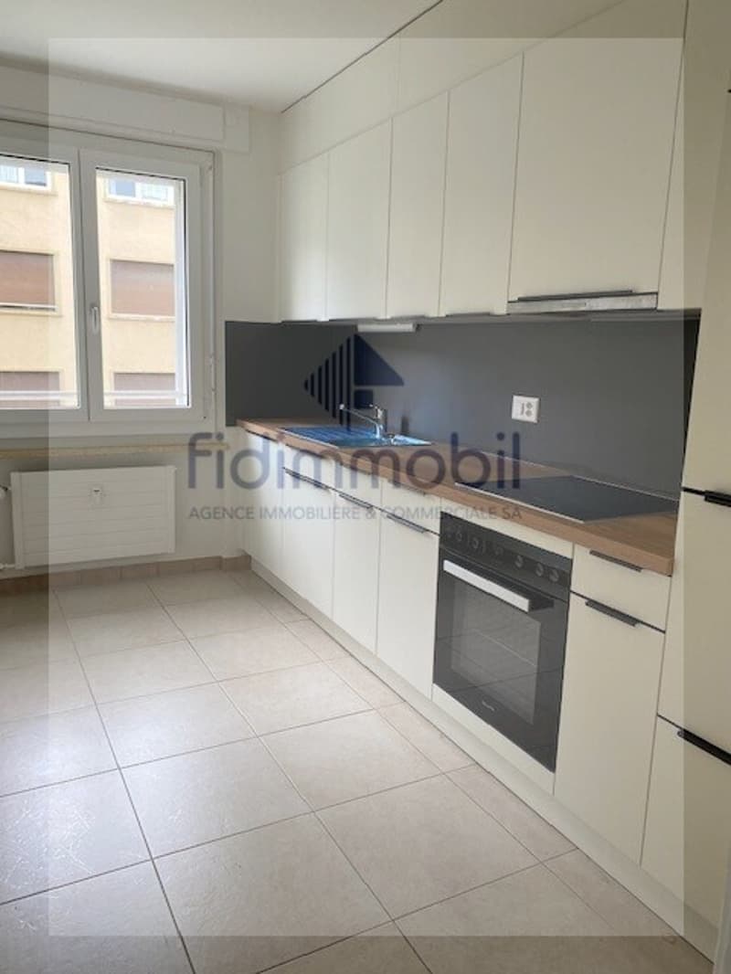 Appartement entièrement rénové (1)