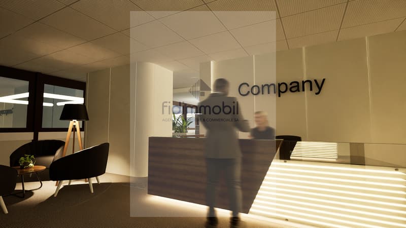 Administrative surfaces for rent from CHF 4'433.- / month (5)