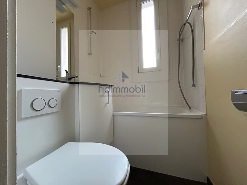 Beautiful apartment close to the train station and all amenities (6)