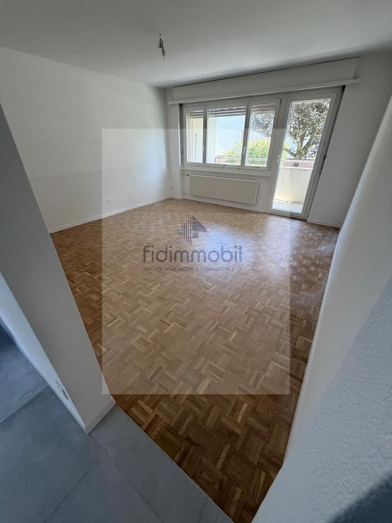 Fully renovated 3-room apartment (2)