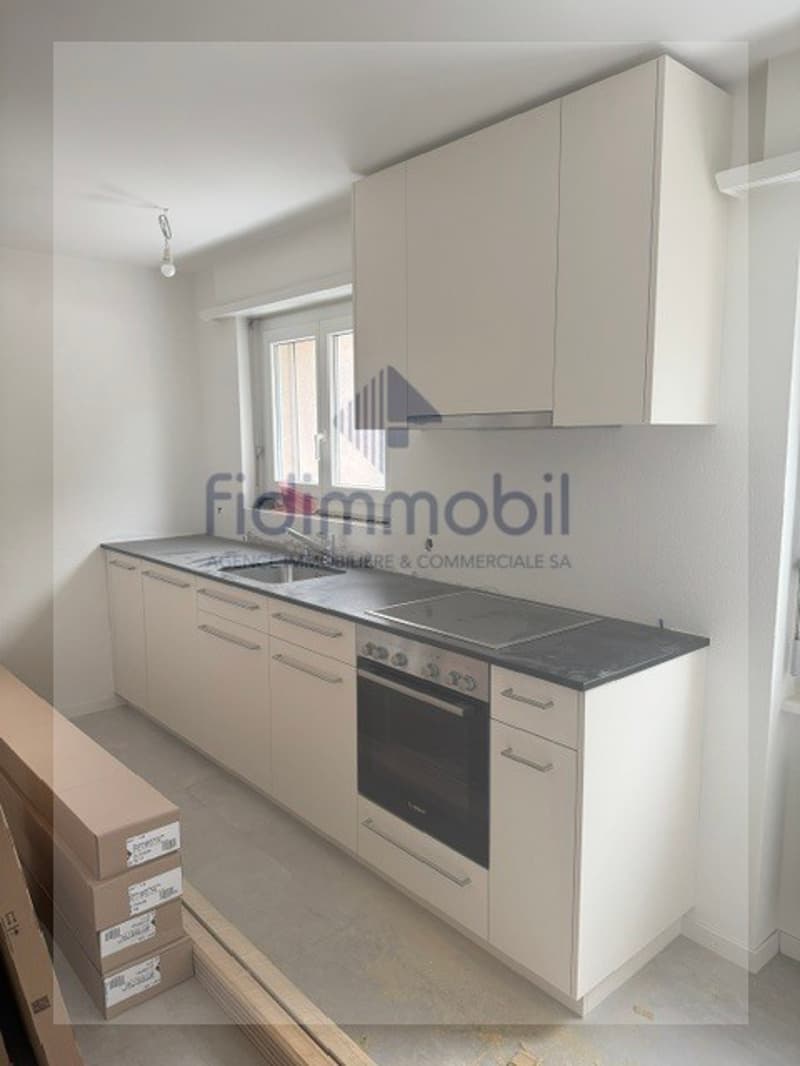 Wohnung mit 3 Zimmern komplett renoviert (1)