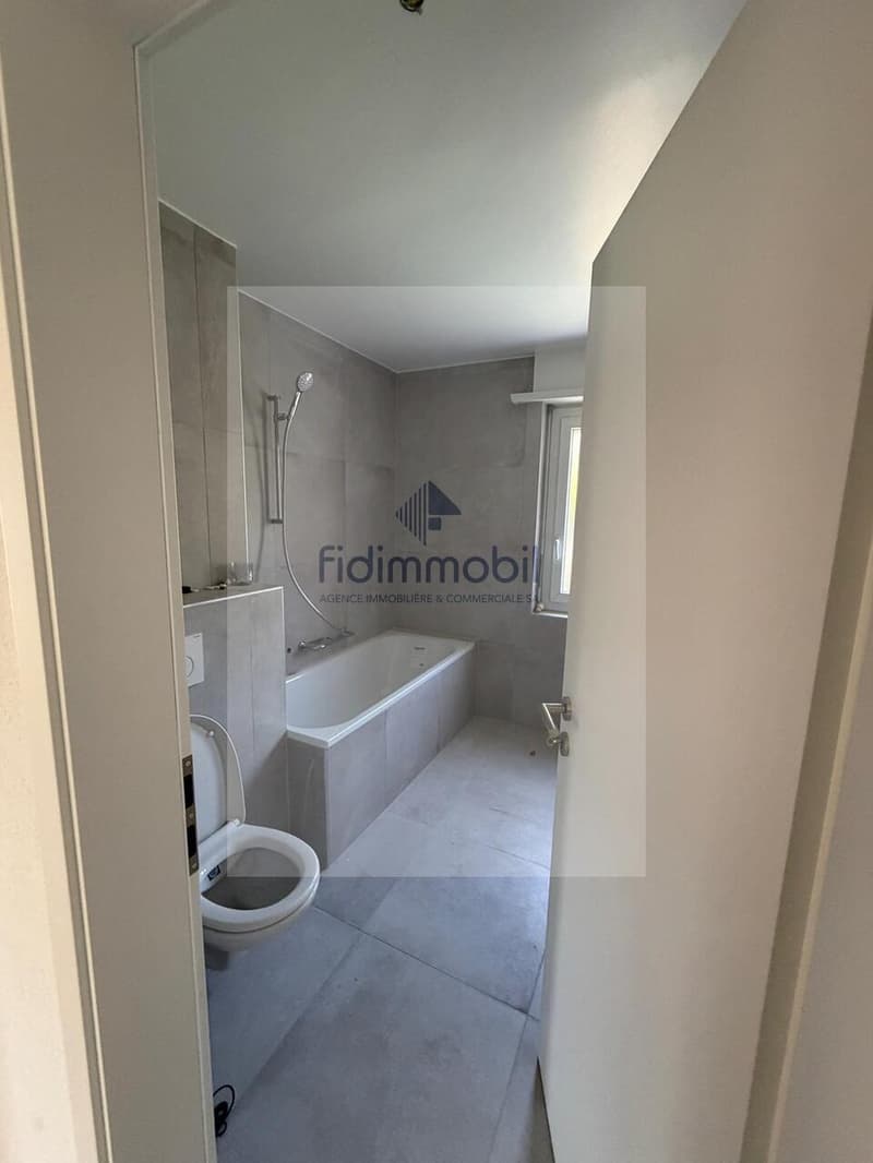 Fully renovated 3-room apartment (4)