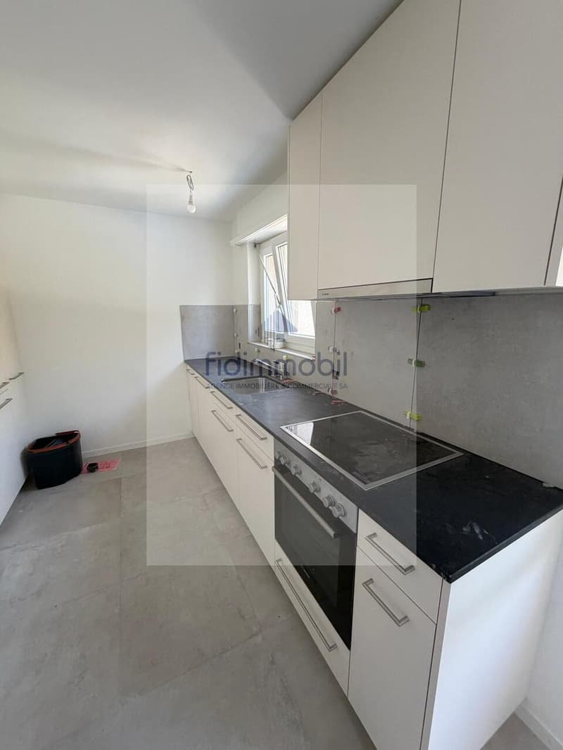 Fully renovated 3-room apartment (1)