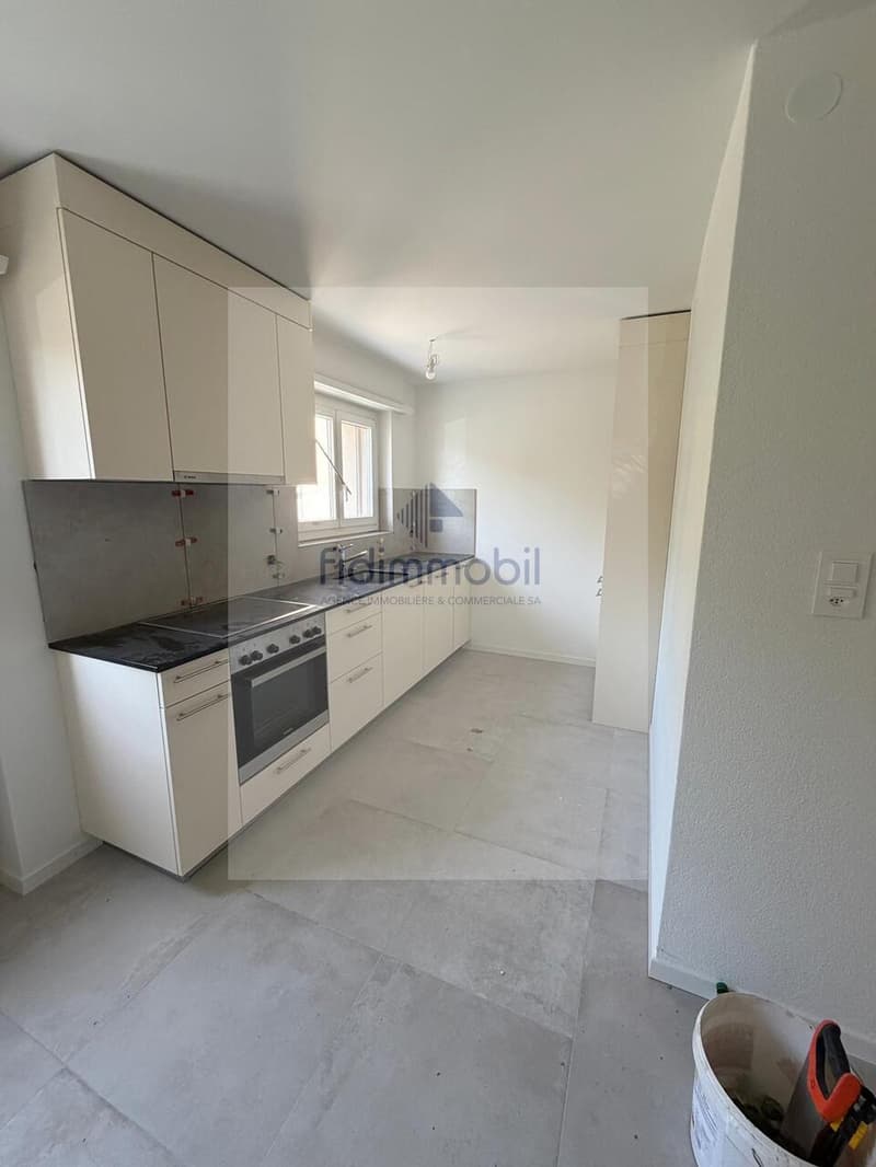 Fully renovated 4-room apartment (1)