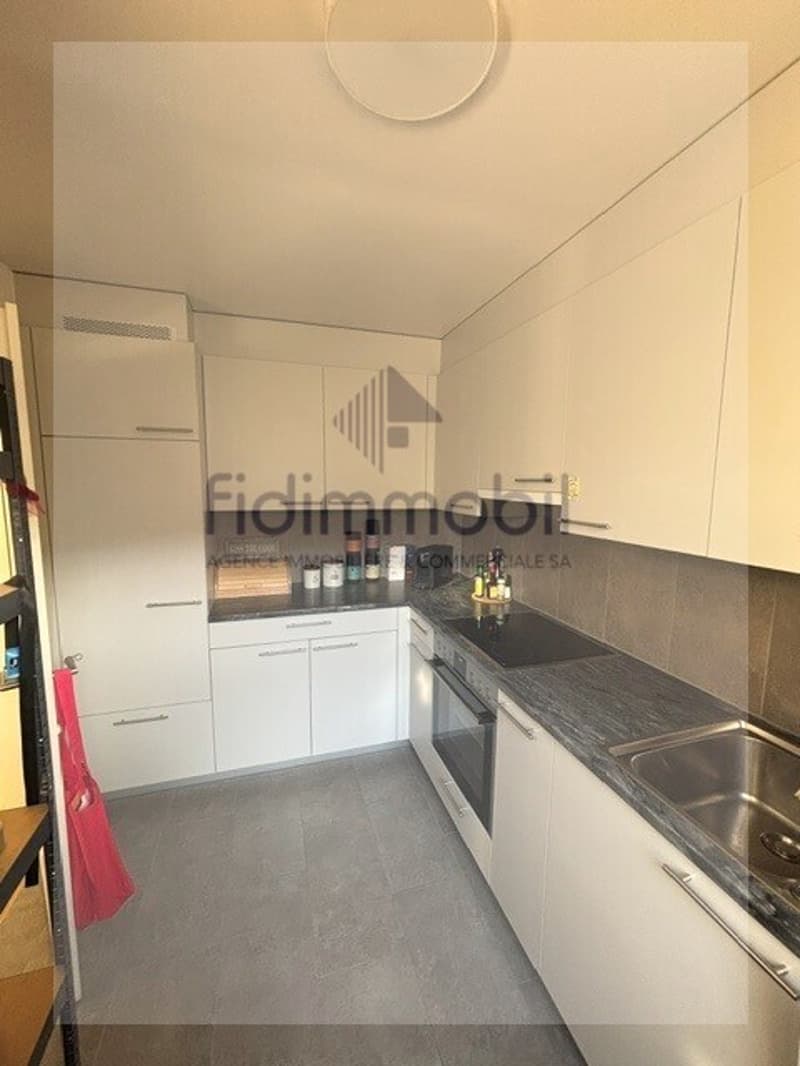 Prächtiges 4.5-Zimmer-Attikapartment zur Miete (8)