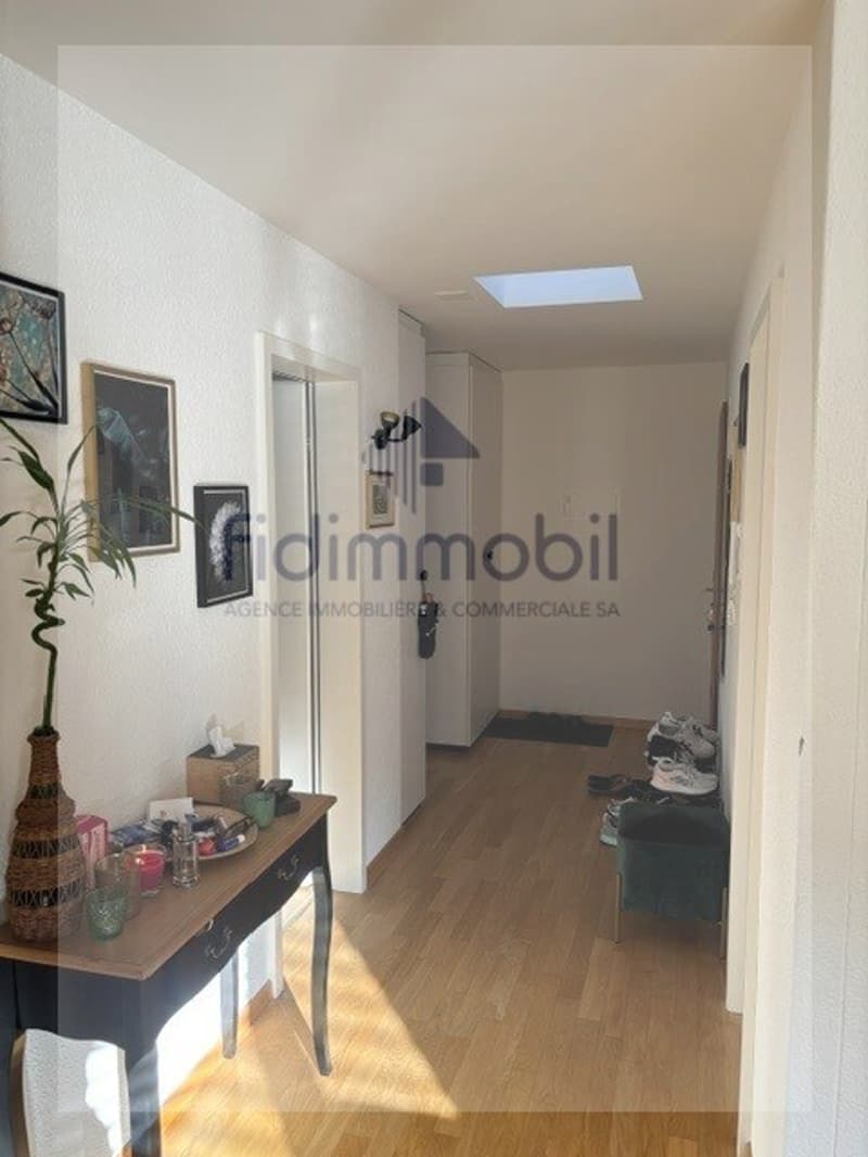 Prächtiges 4.5-Zimmer-Attikapartment zur Miete (11)