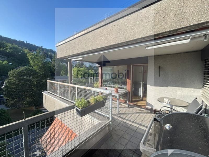 Prächtiges 4.5-Zimmer-Attikapartment zur Miete (7)