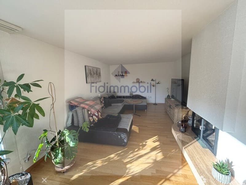 Prächtiges 4.5-Zimmer-Attikapartment zur Miete (2)