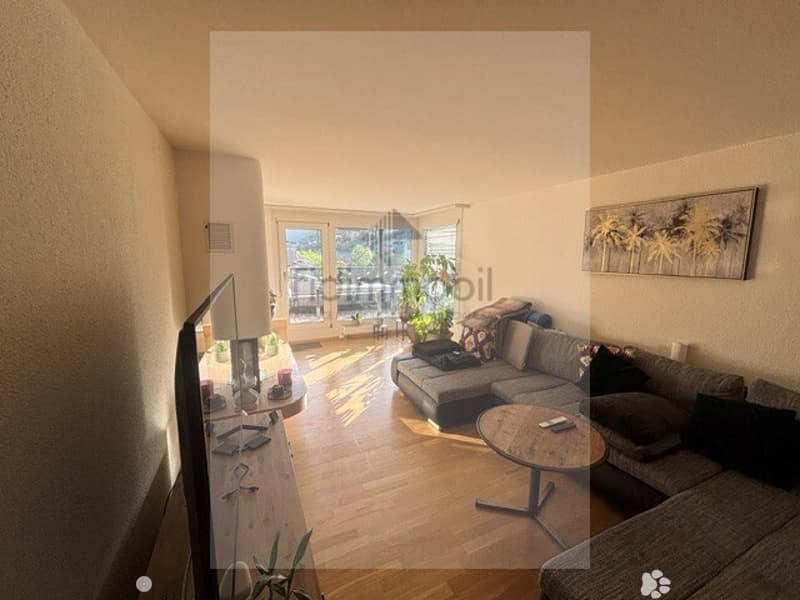 Prächtiges 4.5-Zimmer-Attikapartment zur Miete (3)