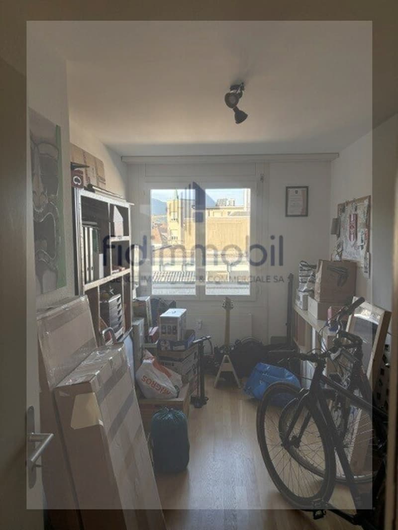 Prächtiges 4.5-Zimmer-Attikapartment zur Miete (12)