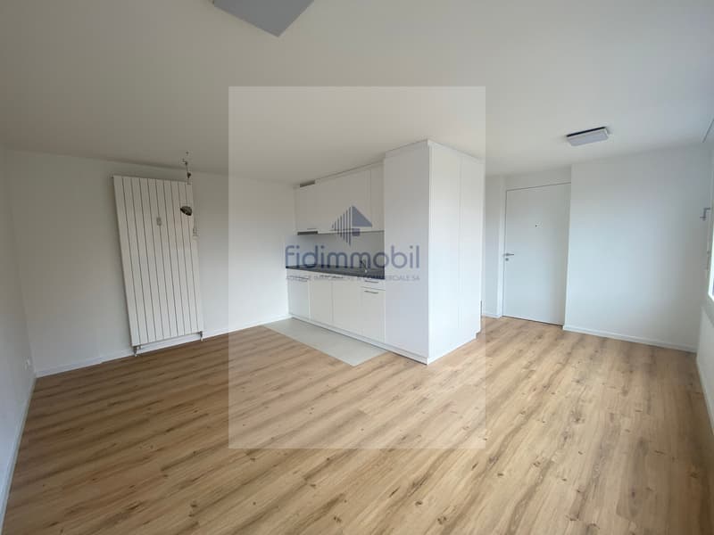 Zu vermieten, unmöbliertes Studio, Parc 71, La Chaux-de-Fonds (3)