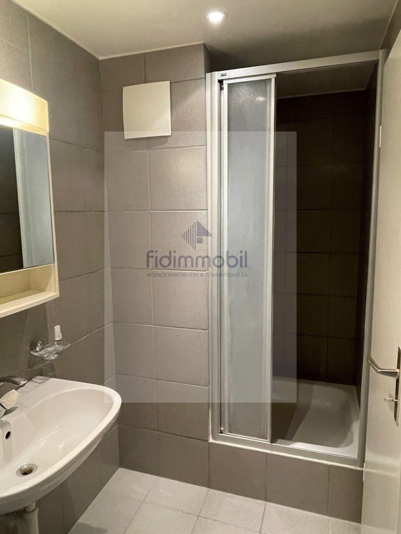 Bello appartamento luminoso con cucina aperta nel cuore di Neuchâtel (6)