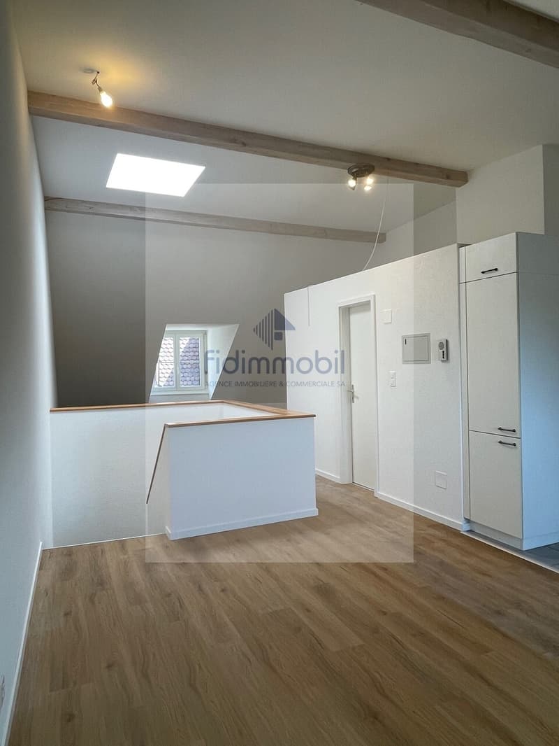 Bello appartamento luminoso con cucina aperta nel cuore di Neuchâtel (5)