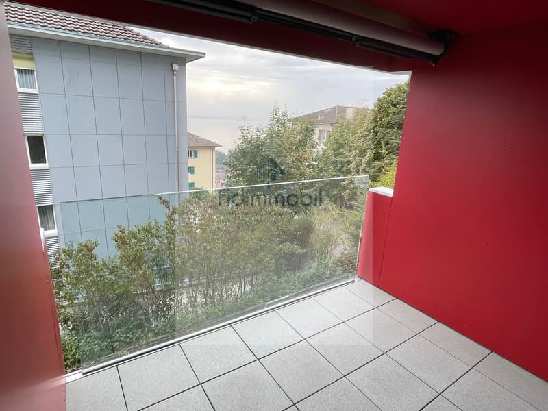 Ampio appartamento di 4.5 locali con balcone, cantina e soffitta (8)